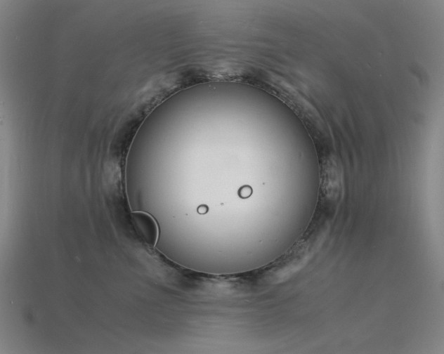 X0000115840523200911131533