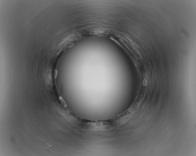X0000115840524200911131533
