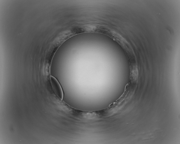 X0000115840525200911131533