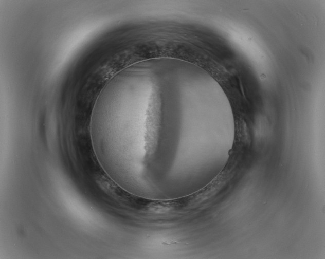 X0000115840526200911131533