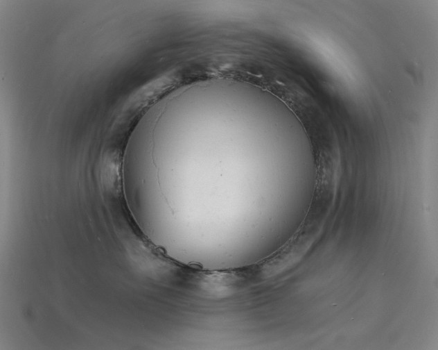 X0000115840527200911131533