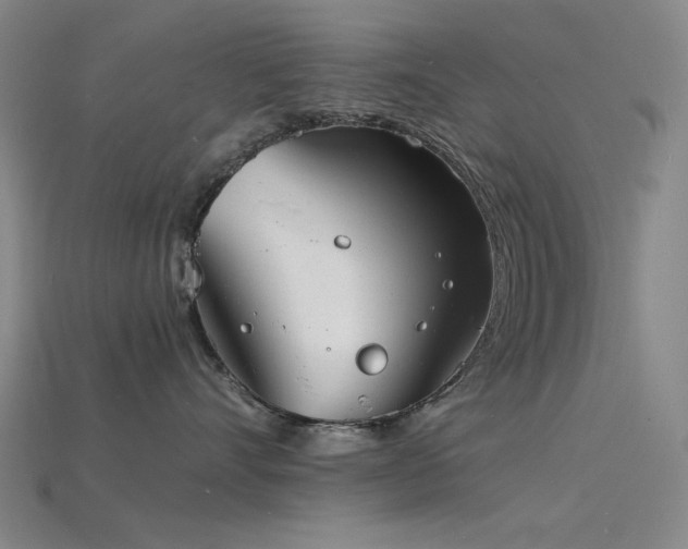 X0000115840528200911131533