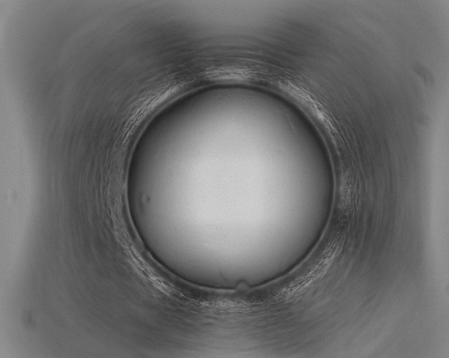 X0000115840529200911131533
