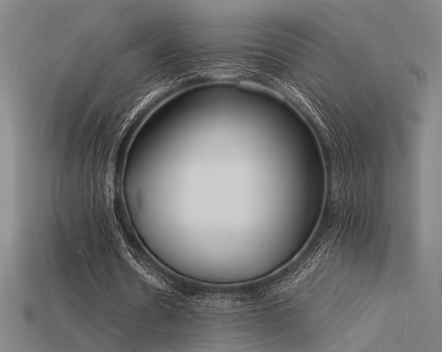 X0000115840530200911131533
