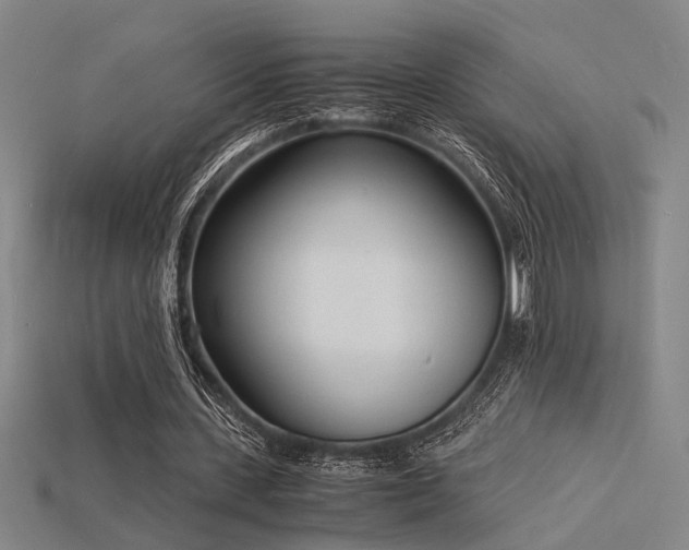 X0000115840531200911131533