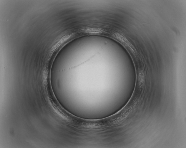 X0000115840533200911131533
