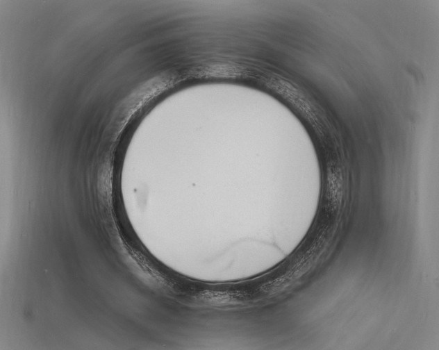 X0000115840534200911131533