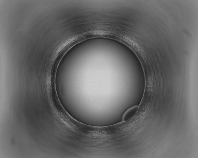 X0000115840535200911131533