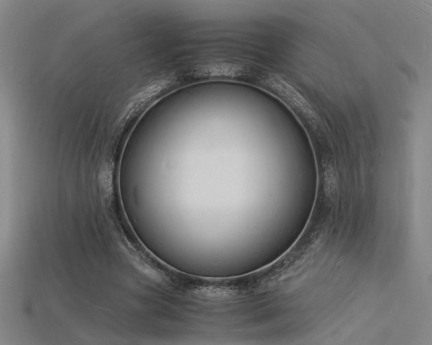 X0000115840537200911131533