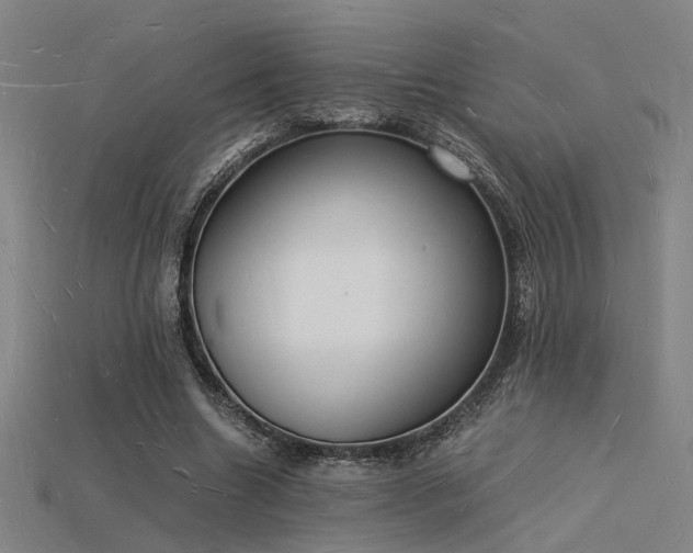 X0000115840538200911131533