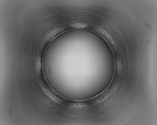 X0000115840541200911131533
