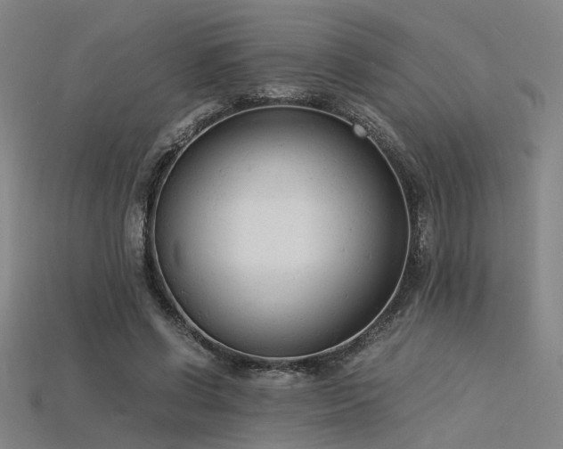 X0000115840542200911131533