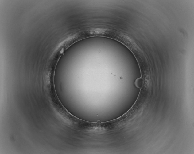 X0000115840543200911131533