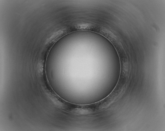 X0000115840545200911131533