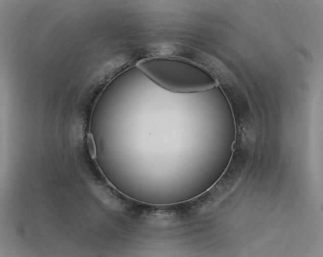 X0000115840546200911131533