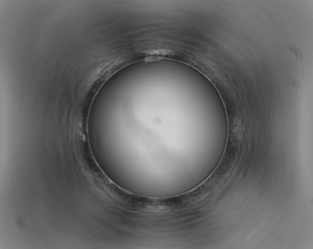 X0000115840547200911131533