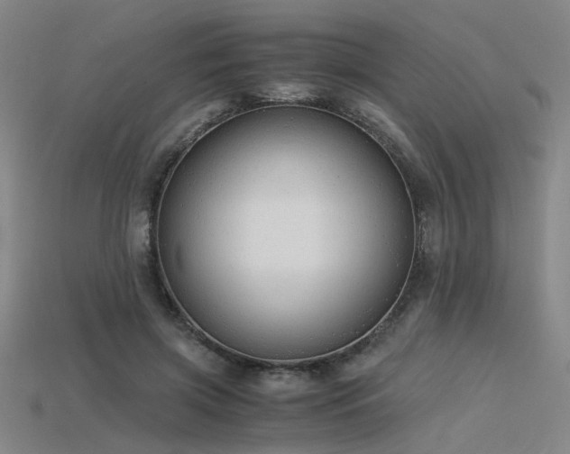 X0000115840549200911131533