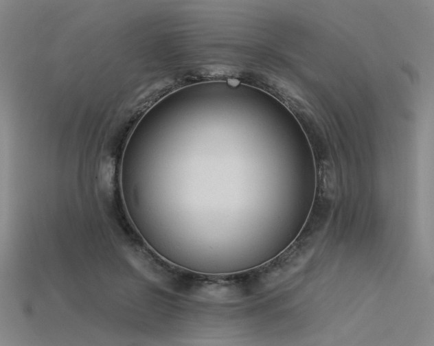 X0000115840550200911131533