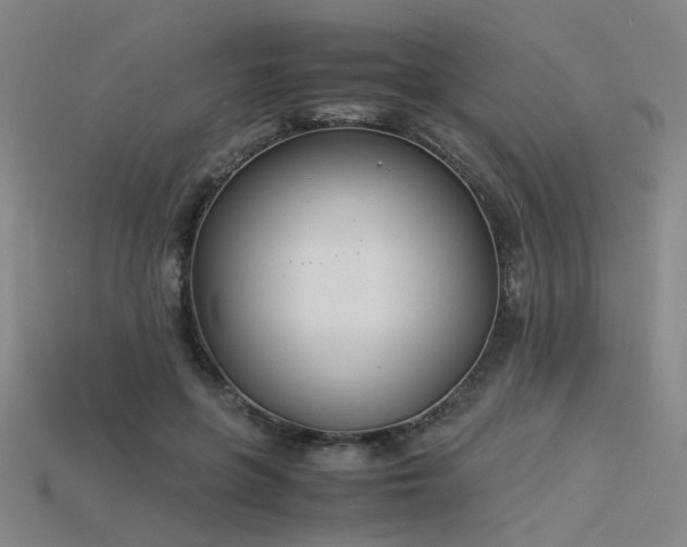 X0000115840551200911131533