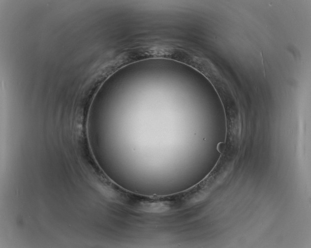 X0000115840553200911131533