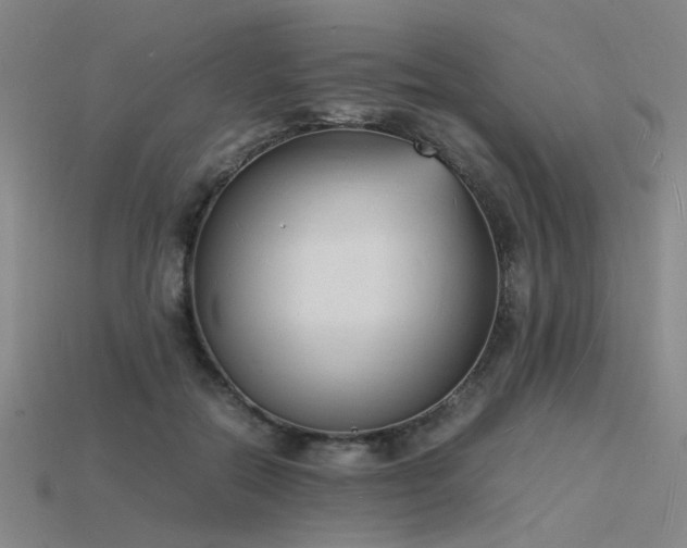 X0000115840554200911131533