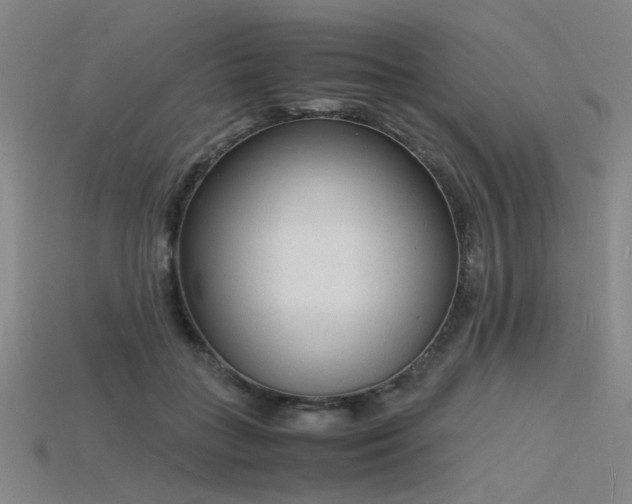 X0000115840555200911131533