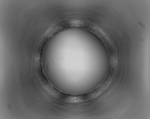 X0000115840557200911131533