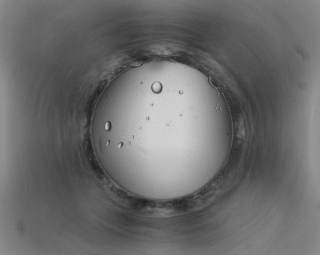 X0000115840559200911131533