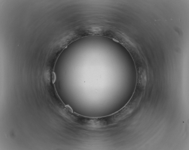 X0000115840562200911131533