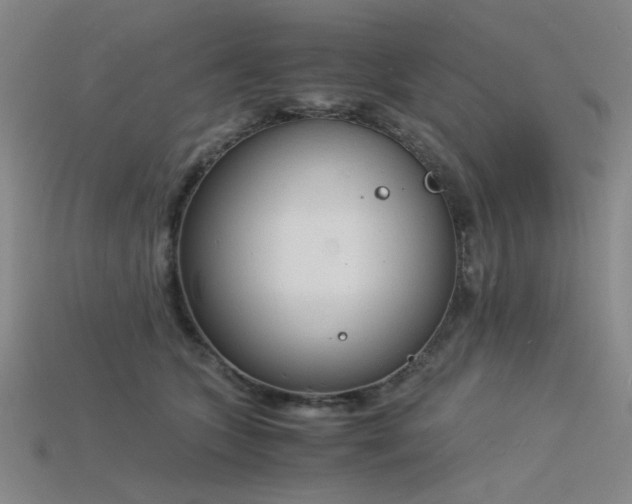X0000115840563200911131533