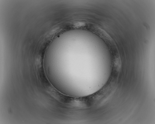 X0000115840565200911131533