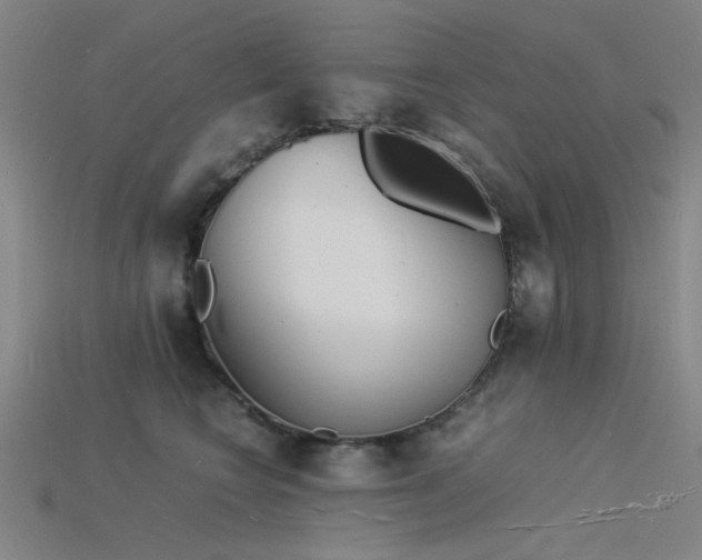 X0000115840566200911131533
