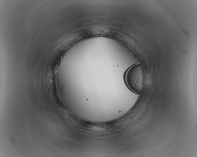 X0000115840567200911131533