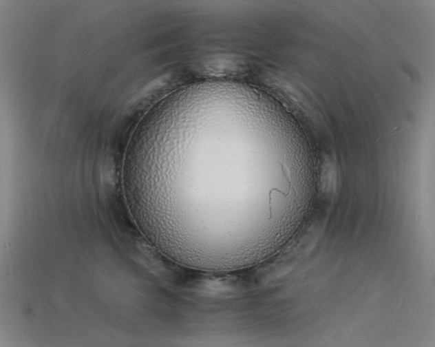 X0000115840569200911131533