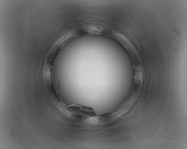 X0000115840573200911131533