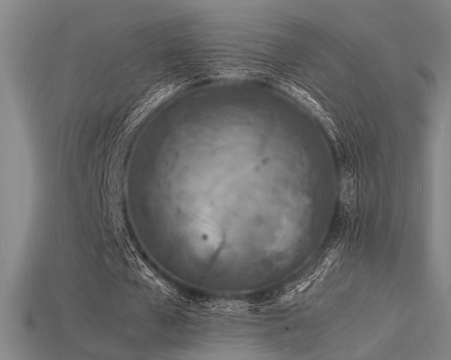 X0000115840577200911131533