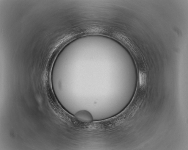 X0000115840579200911131533