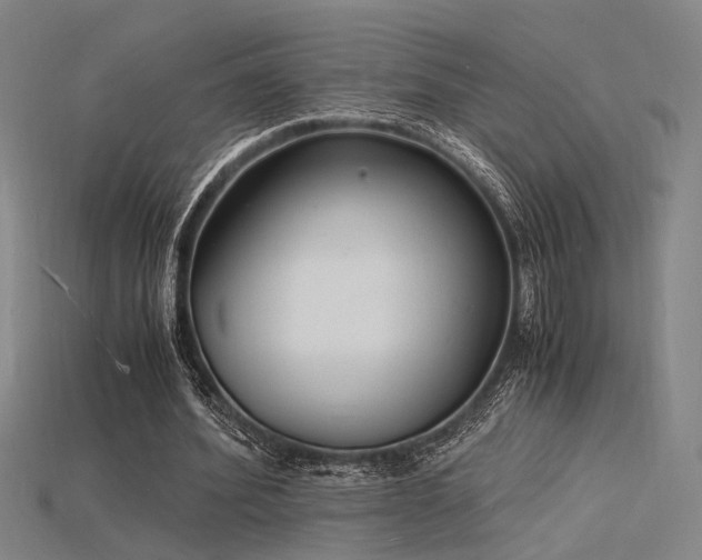 X0000115840580200911131533