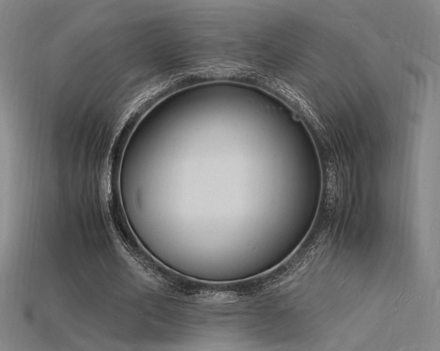 X0000115840582200911131533