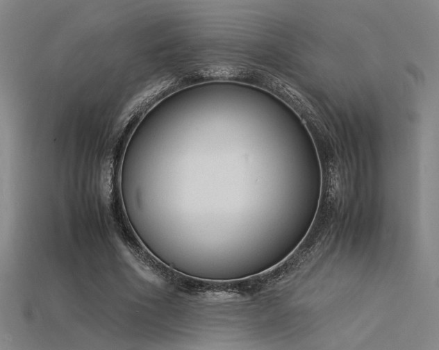 X0000115840586200911131533