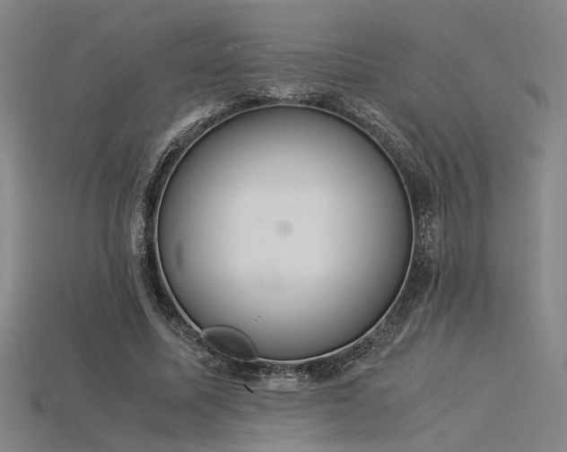 X0000115840587200911131533
