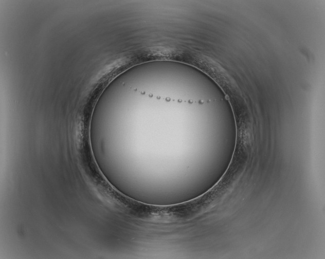 X0000115840591200911131532