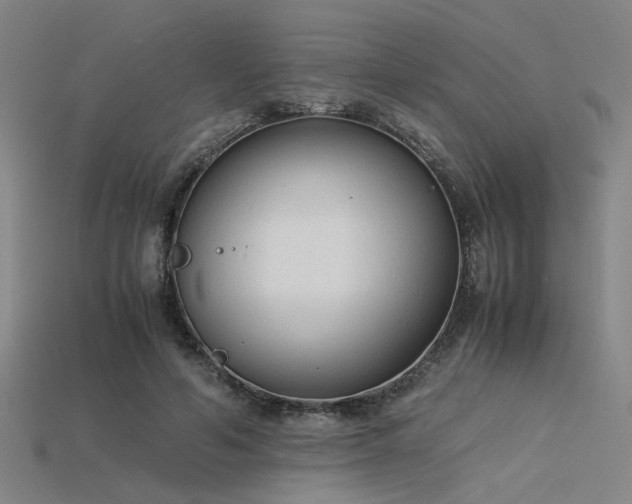 X0000115840594200911131532