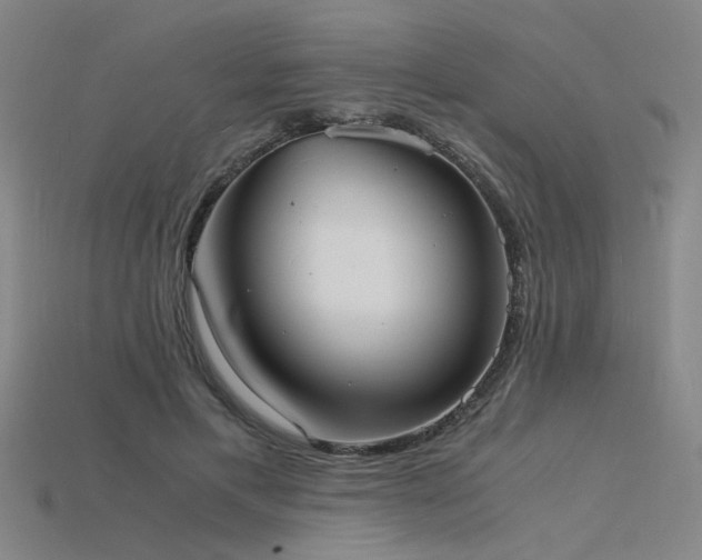 X0000115840597200911131532