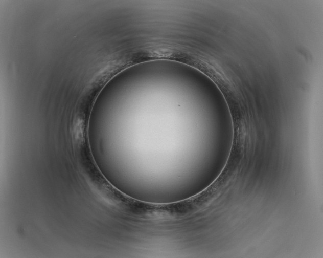 X0000115840598200911131532