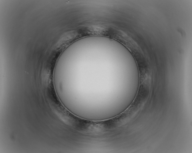 X0000115840599200911131532