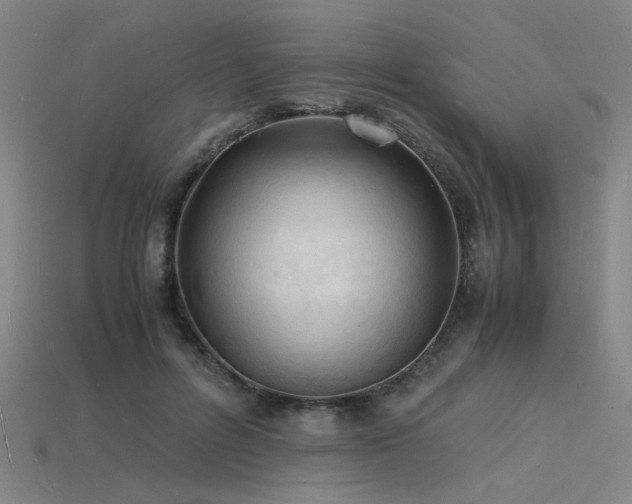 X0000115840600200911131532