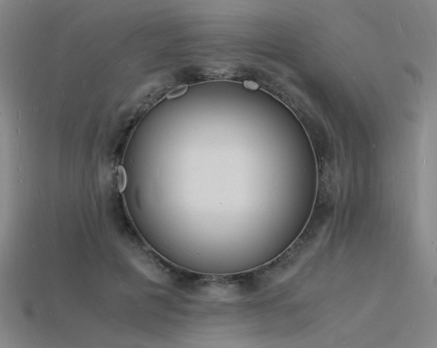 X0000115840601200911131532