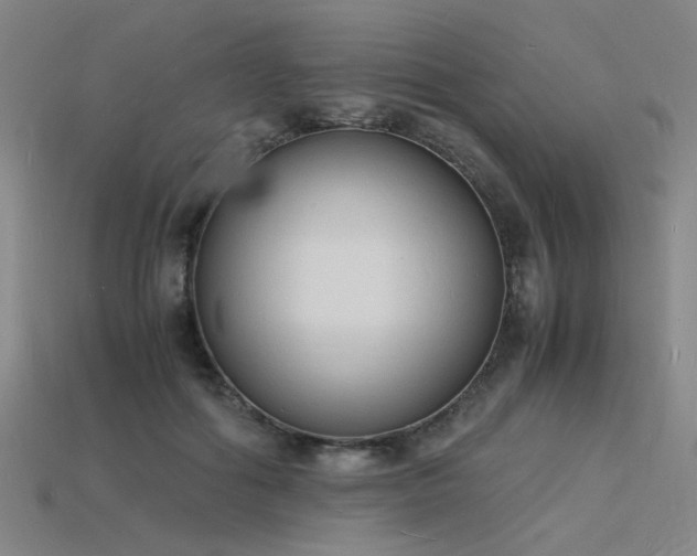 X0000115840602200911131532