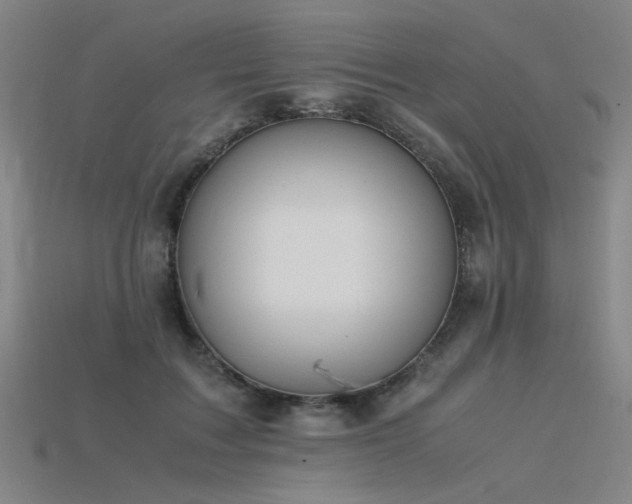 X0000115840603200911131532